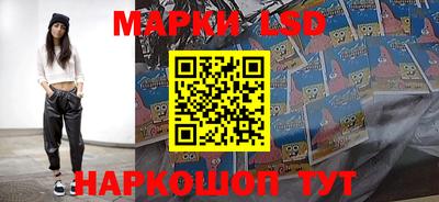твердый Новозыбков