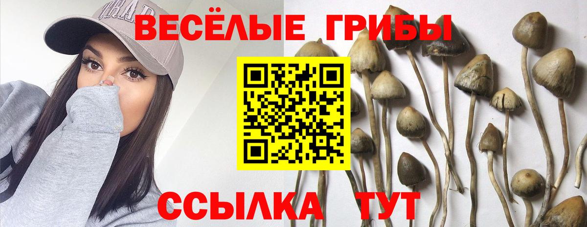 где продают наркотики  Вход с VPN  Краснотурьинск  Галлюциногенные грибы прущие грибы 
